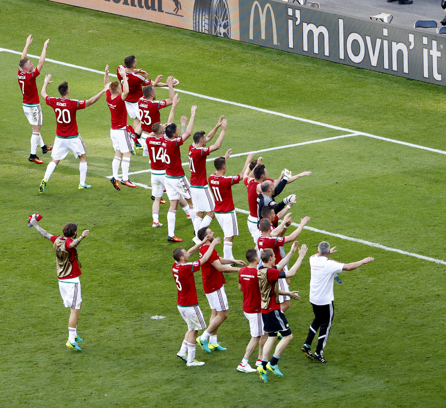 赛后图集:葡萄牙人难掩失落，匈牙利球员疯狂庆祝 - 足球第一门户|懂球帝