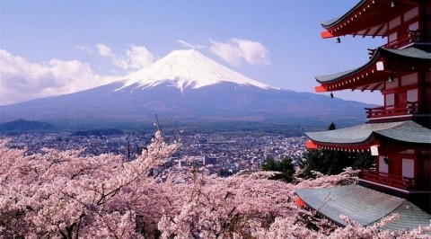 日本足球的圣地--富士山注视下的静冈 - 足球视