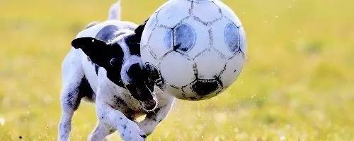 玻璃踢碎了,大家快跑! - 足球视频|足球视频集锦