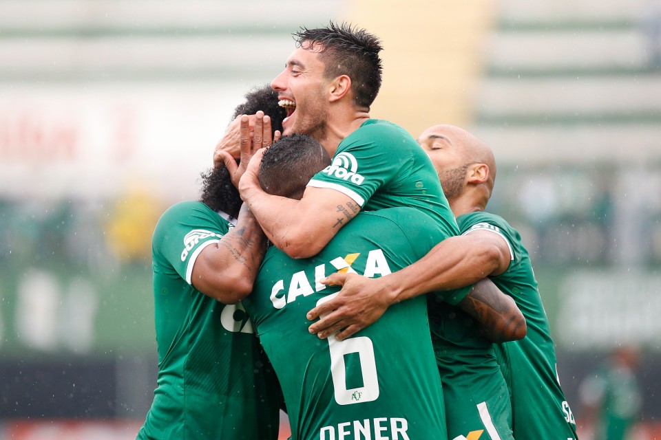 小英雄!10岁男孩参与沙佩科恩斯空难现场救援