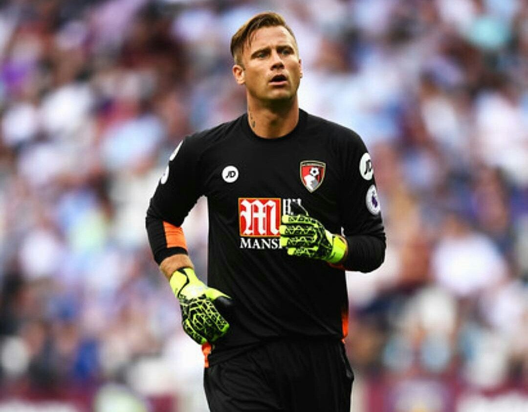 波兰球员每周联赛总结12.14-12.19 - 足球视频