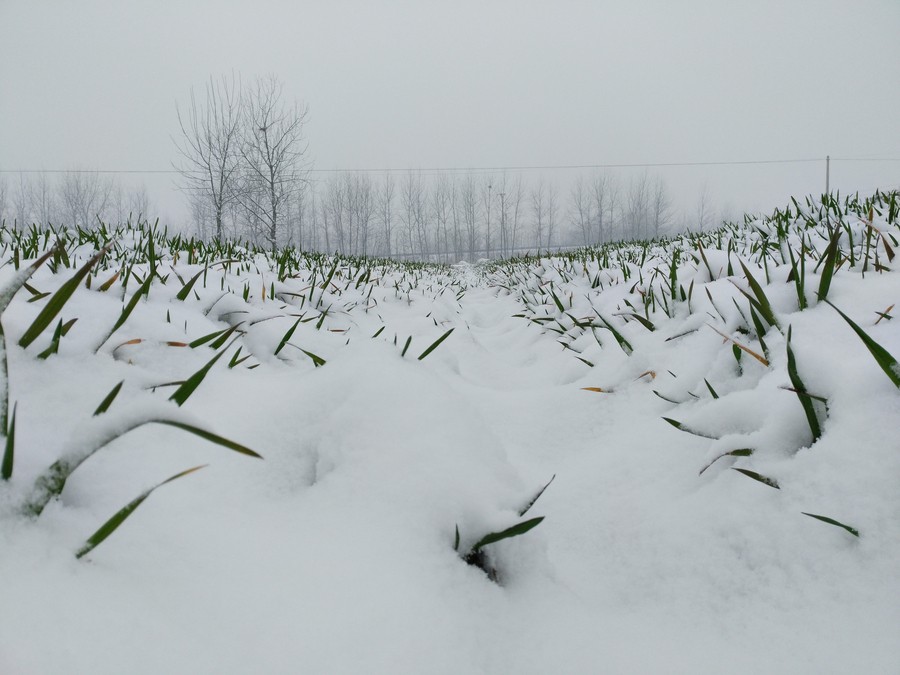 早报:冬窗很冷,英超也很冷 - 专业权威的足球网