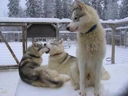 新闻大爆炸:不是每个教练剥的香蕉都能放心吃