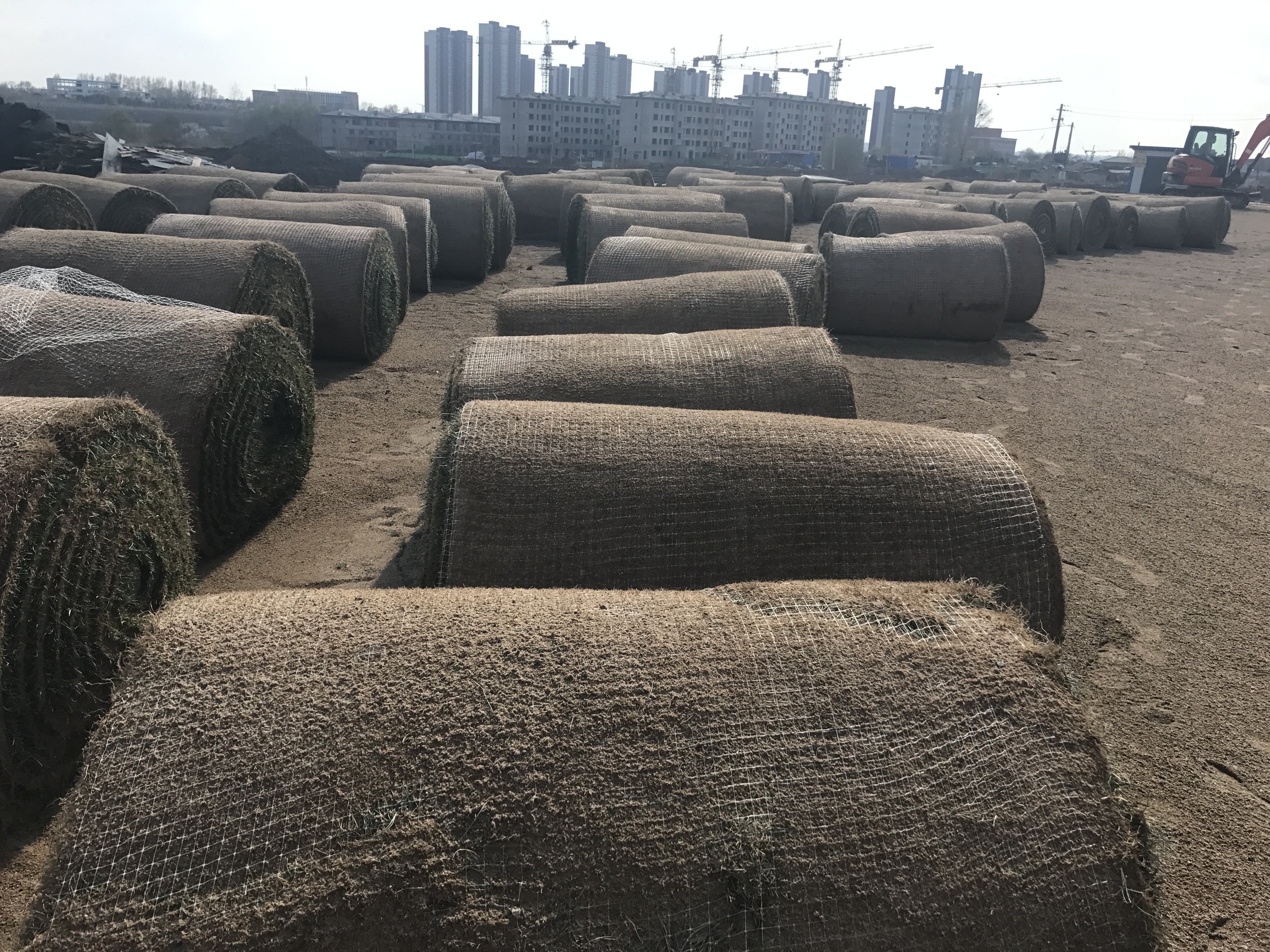 亚泰足球新基地开始铺设草坪 - 足球视频|足球视