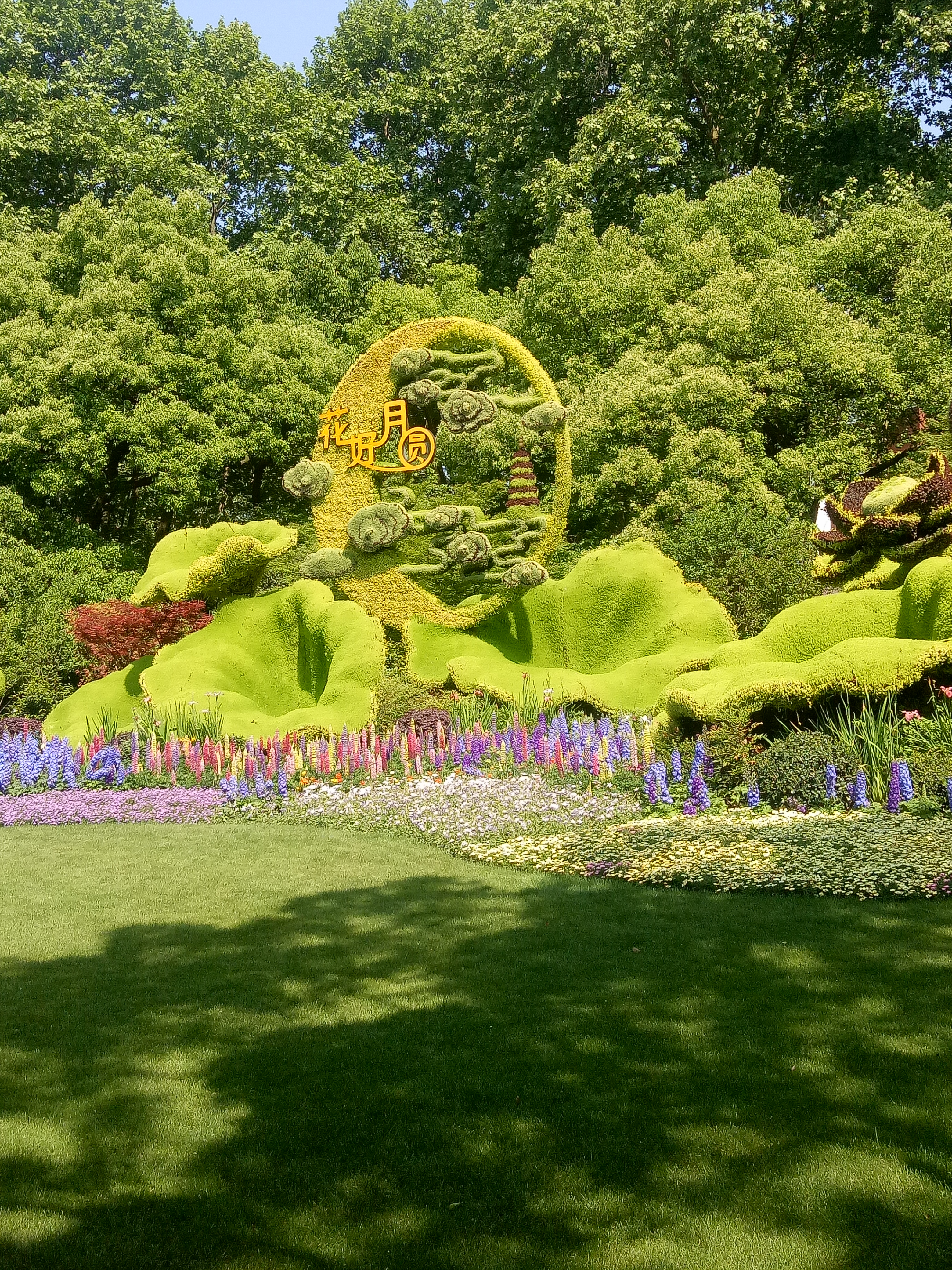 女球迷采访:超爱张修维的权健球迷张童 - 专业