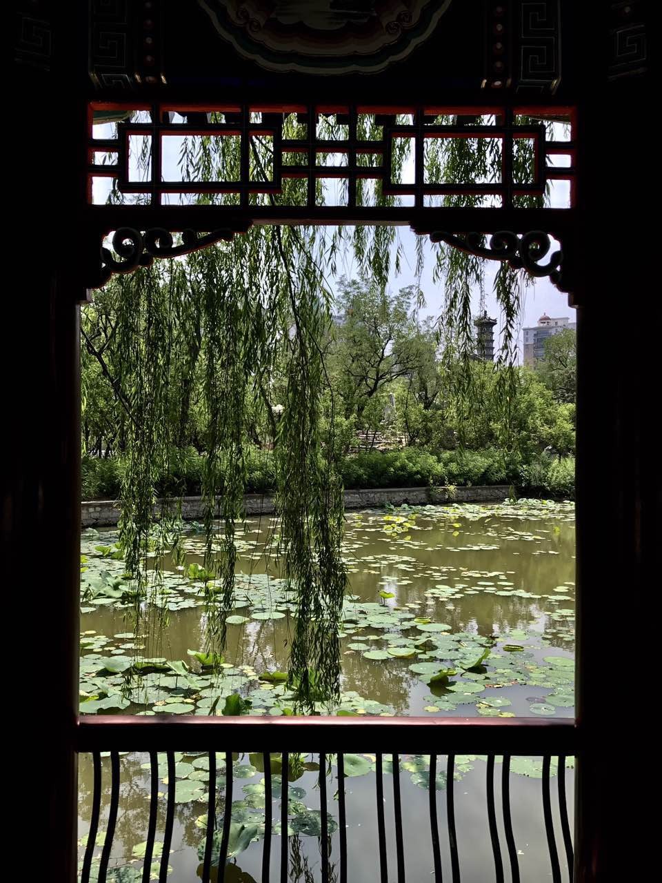 帕托周记:团队合作力量大! - 天津权健|帕托|懂球