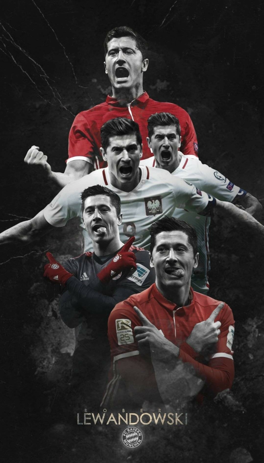 波兰主教练:主场是我们的堡垒,莱万的纪录棒极