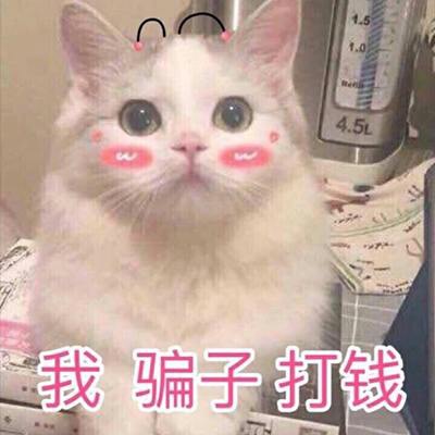 如何把图片转成为表情包 ChNy21nfRJ6ALcgYAADB97K3I9g33.jpeg
