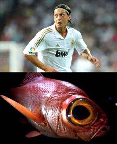 足球视频|足球视频集锦|懂球帝