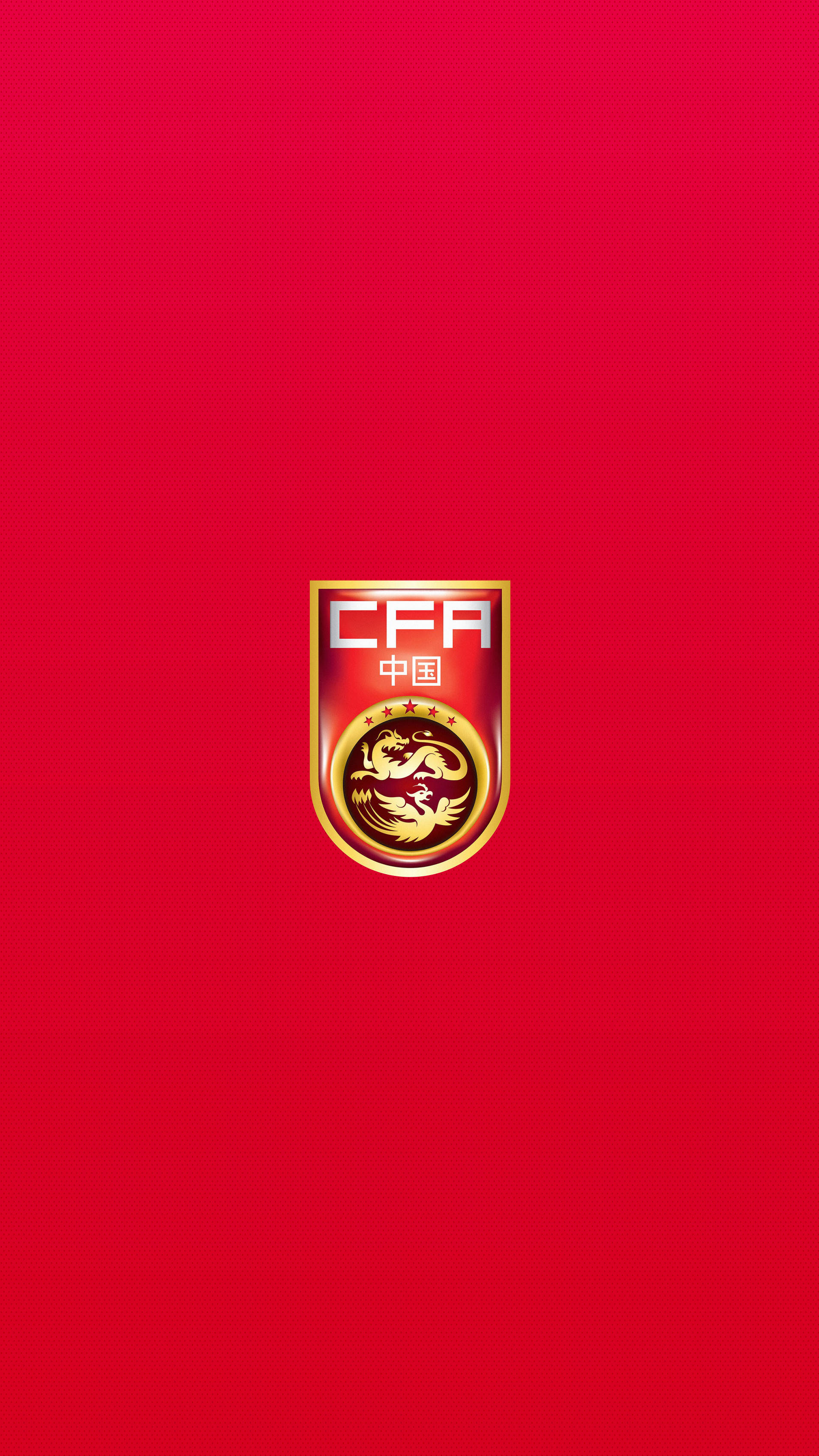 新一期国足全家福出炉:蔡振华在列,众将昂头挺胸目光坚毅