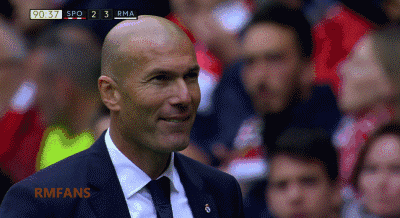 齐达内:玄,妙不可言