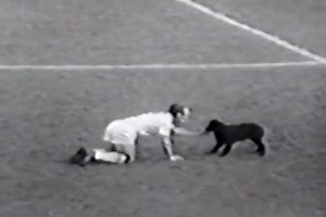 世界杯奇葩故事(十三):神奇换门、黑暗年代、爱