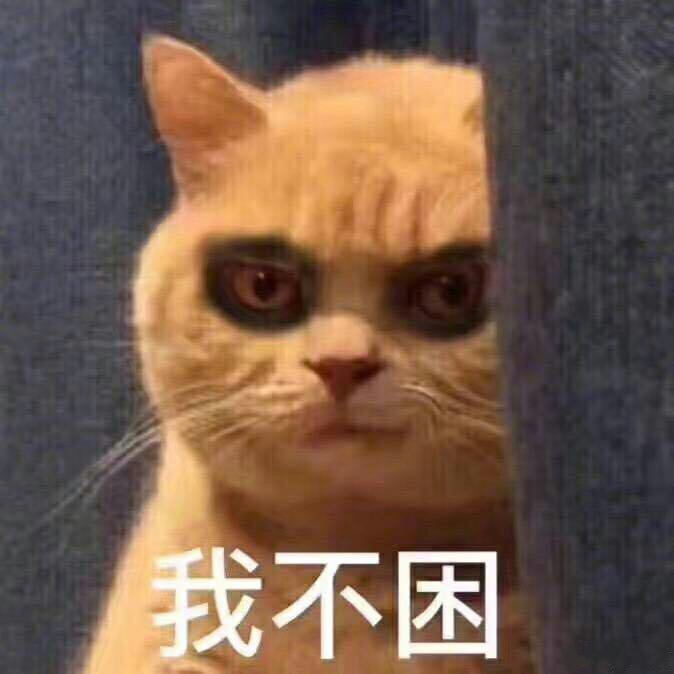 猫咪流鼻血图片