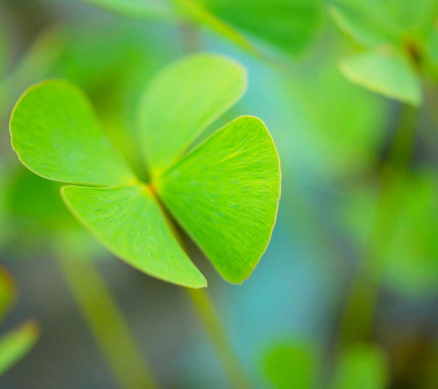 新闻正文  长发飘飘的魔笛2017-06-29 11:19:55 举报回复赞(4)