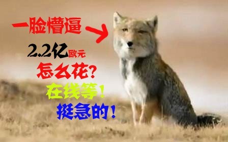 牙买人口_人口普查