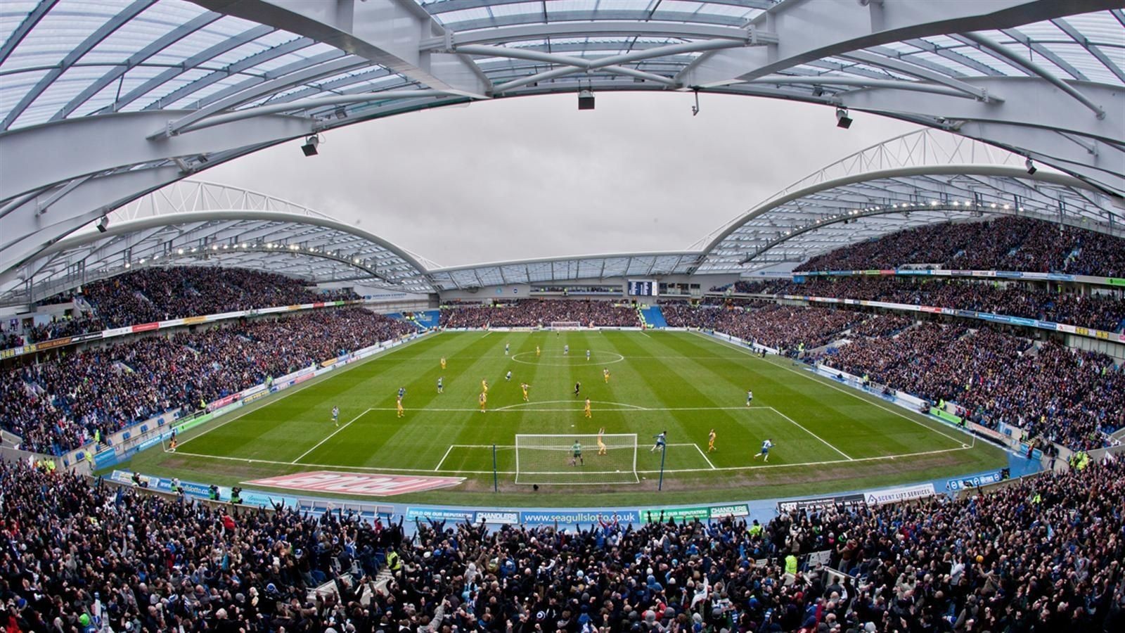 在美国运通社区球场(amex stadium)回荡,大家将再次看到海鸥展翅高飞