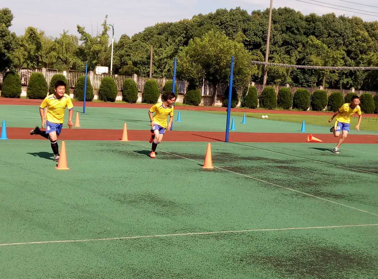 现代足球对小学足球教学、训练及比赛的启发