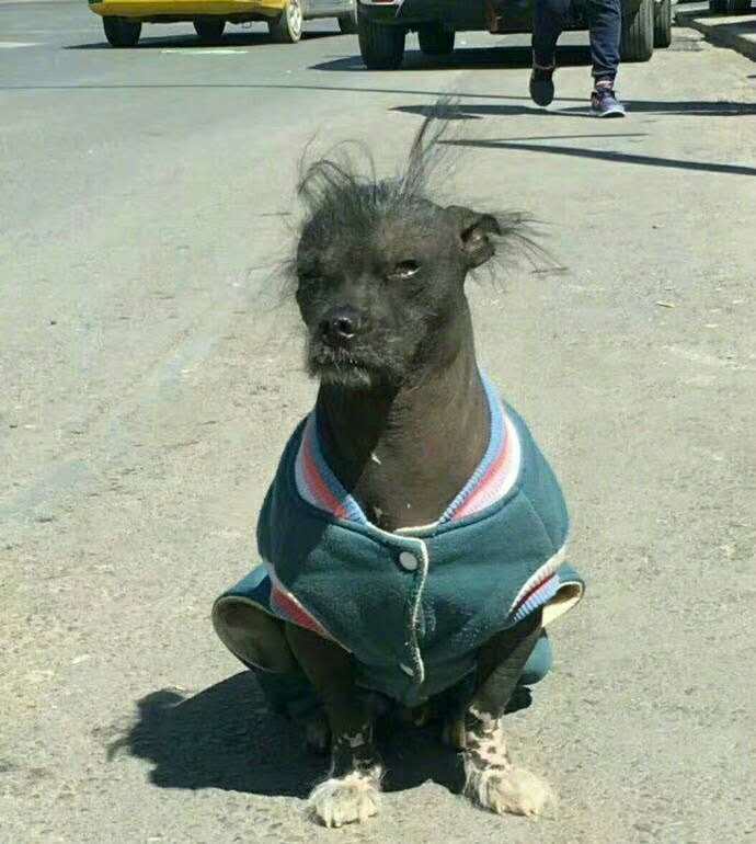 世界杯后,法尔考可能来中国