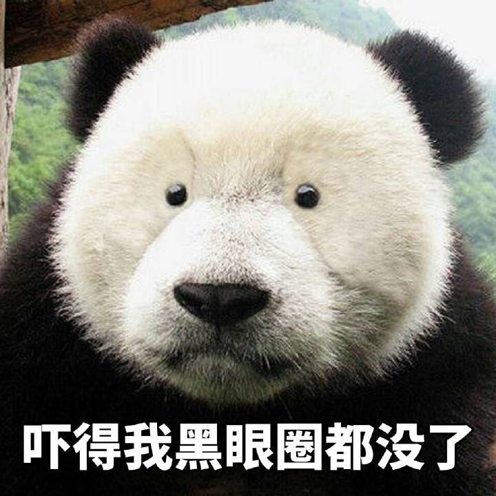 黑风双煞的传承,曼联暗黑四天王肩扛红魔复兴