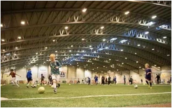 冰岛为什么这么强,该感受下他们对足球的热爱