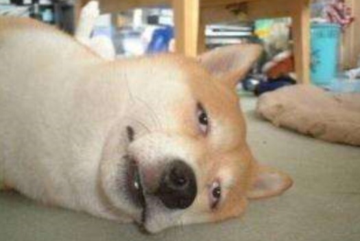 当足彩,遇上佛法!