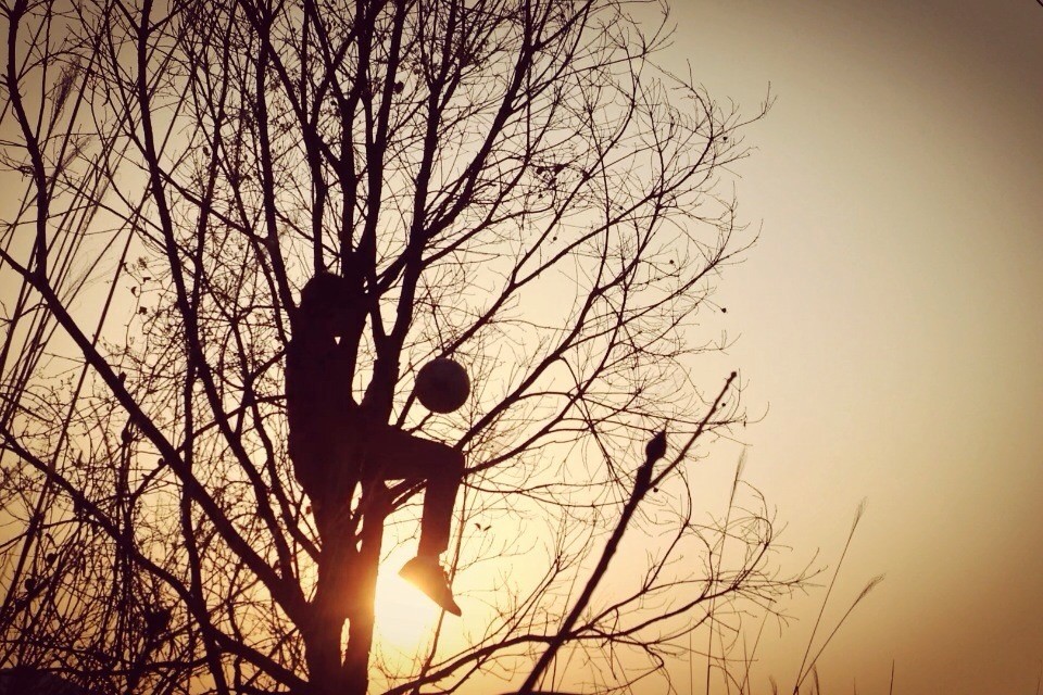 2015至2017上半年,职业花式足球玩家,陈浩个人