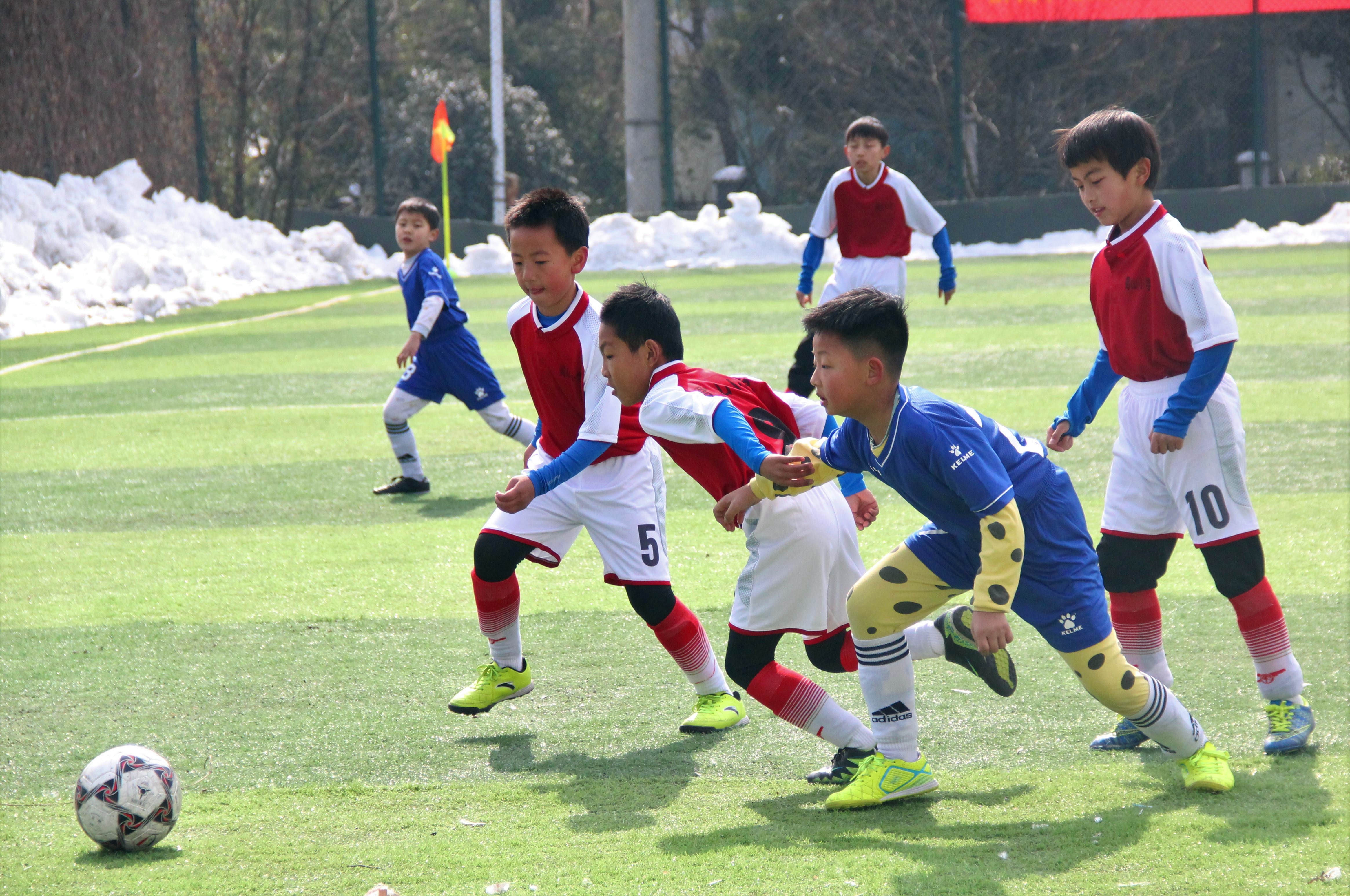2018合肥蜀山搏翼绿茵杯省级青少年邀请赛火