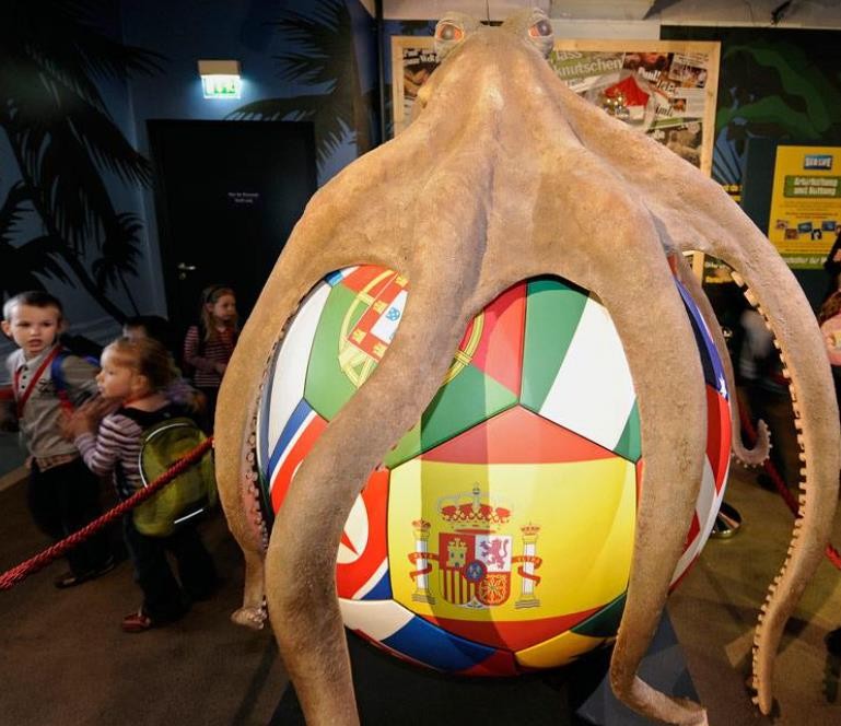 章鱼保罗不幸去世,然而就连它真正去世的时间都还在世界范围内引起了