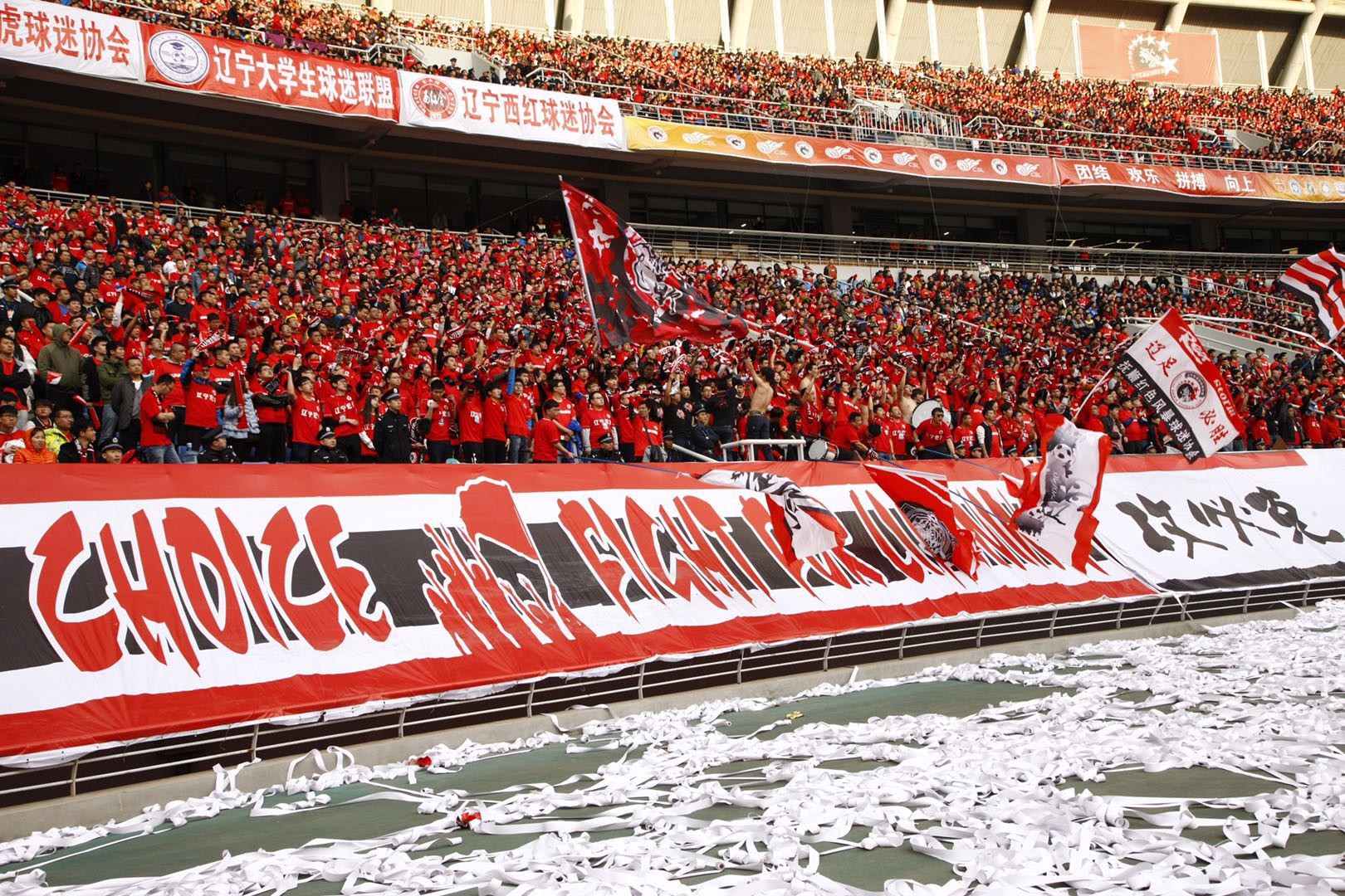 辽宁足球俱乐部加大力度培养新一代辽小虎