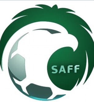 队徽巡礼:神兽,皇冠,十字架争奇斗艳|澳大利亚|伊朗|日本|韩国|沙特