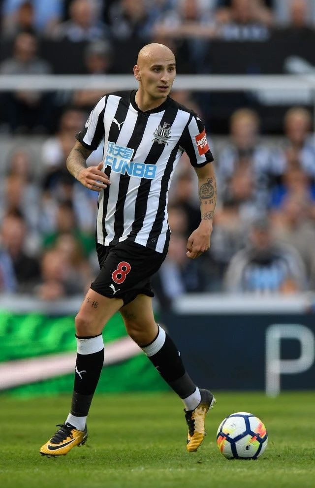 谢尔维:虽失之三狮，但可收之喜鹊