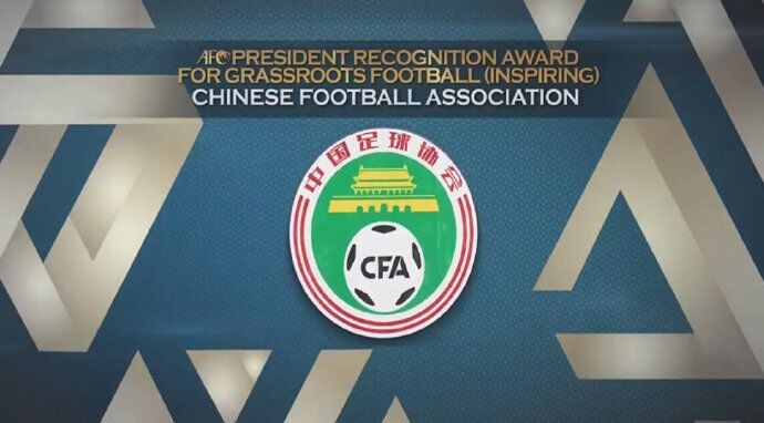 卡塔尔足球有什么奖项吗,卡塔尔世界杯专用足球