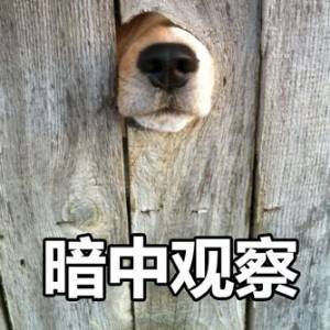 巴萨官方发言人