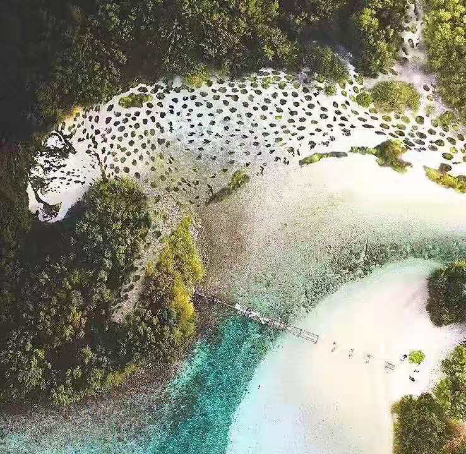 周五训练中见