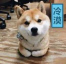 中山中场小胡8